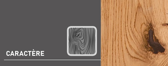 Alliance Bois - Tassin - Lyon - WEITZER PARKETT - WEITZER PARKETT - Caractère